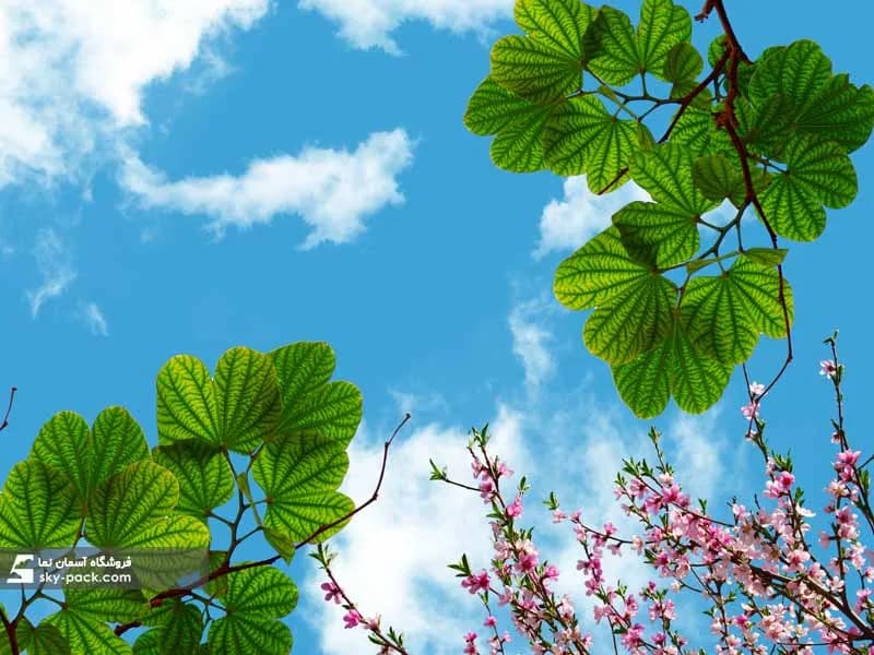آسمان مجازی درختان زیبا — تصویر ۲