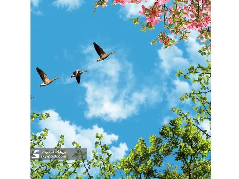 آسمان مجازی طرح پرنده های پاییزی — تصویر ۲