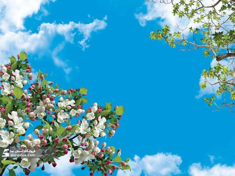 آسمان مجازی طرح شکوفه های سیب — تصویر ۲