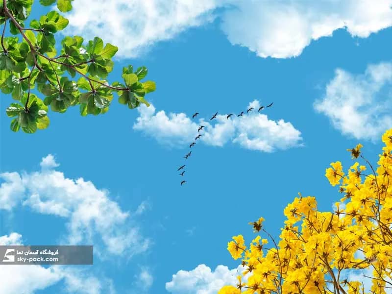 آسمان مجازی طرح گلهای زرد — تصویر ۲