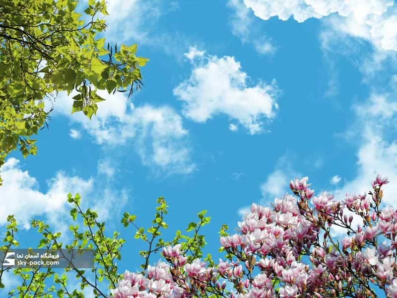 آسمان مجازی طرح گل مگلونیا