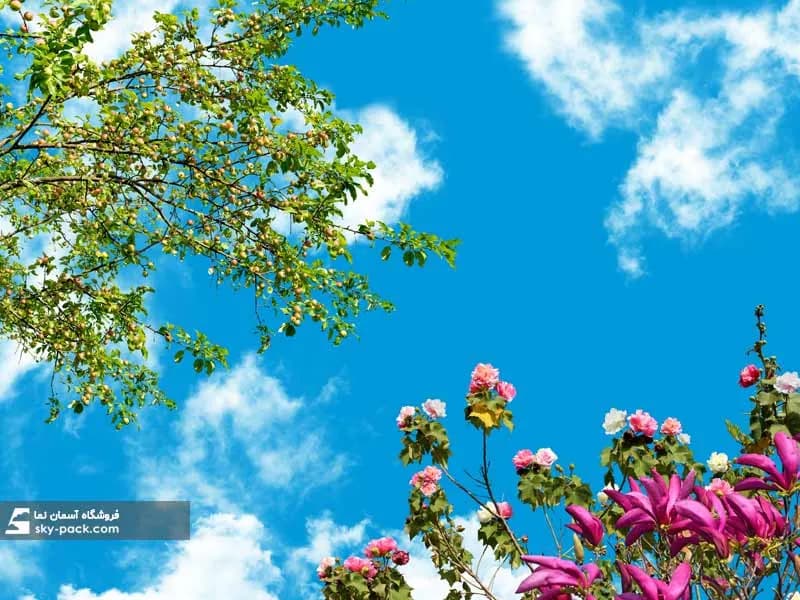 آسمان مجازی طرح گلهای رز