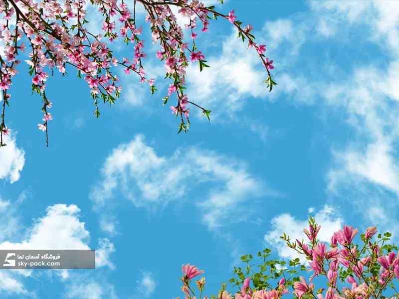 آسمان مجازی طرح شکوفه های هلو — تصویر ۲