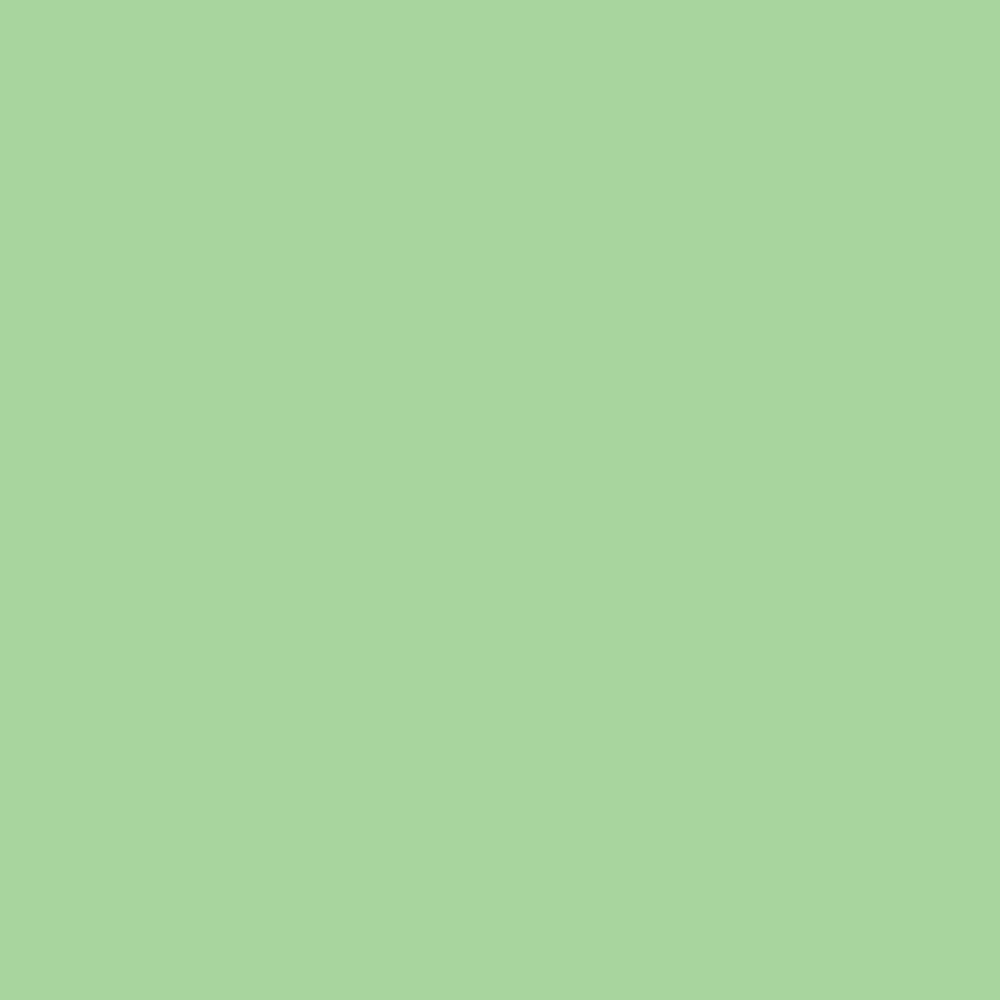 فون کاغذی سوج سبز نعنایی Savage #40 Mint Green — تصویر ۲
