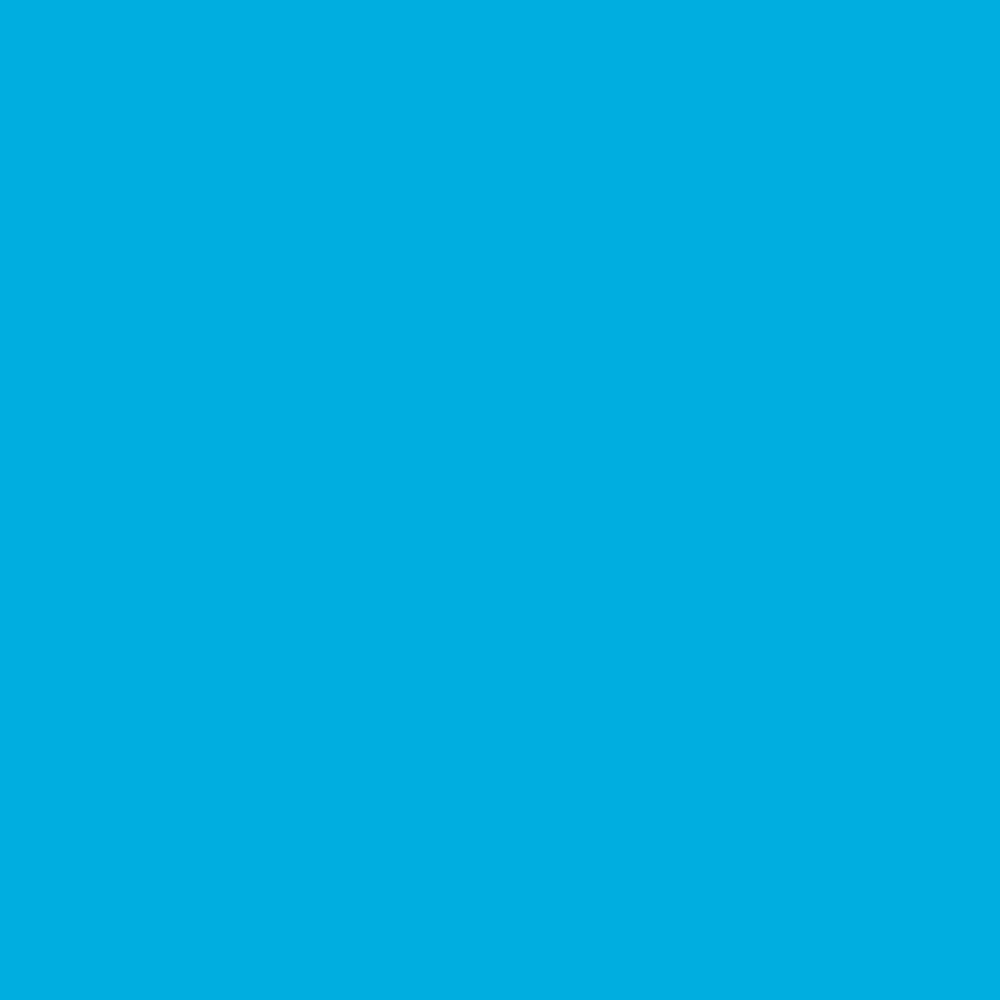 فون کاغذی سوج آبی جی Savage #31 Blue Jay — تصویر ۲