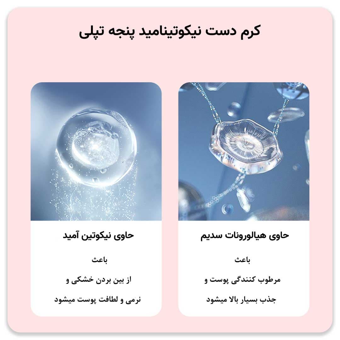 کرم دست پنجه تپلی لوفمیس — تصویر ۶