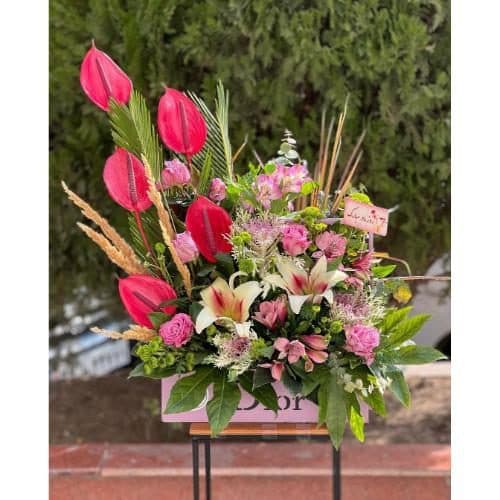 ارسال فوری گل برای باشگاه بوکس تهرانسر 6751