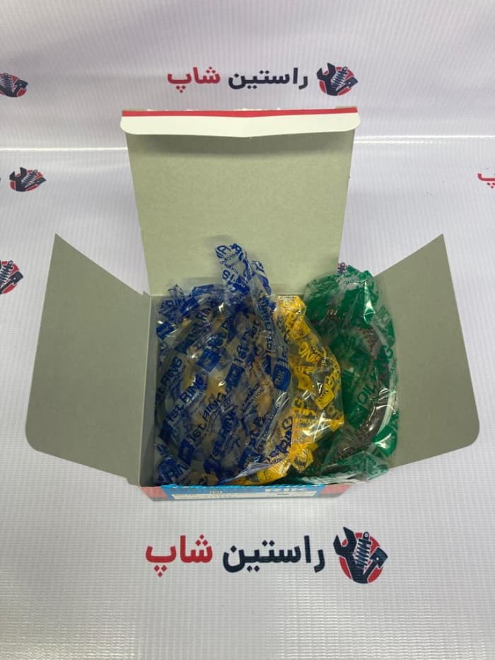 رینگ موتور رونیز (ژاپن) — تصویر ۵