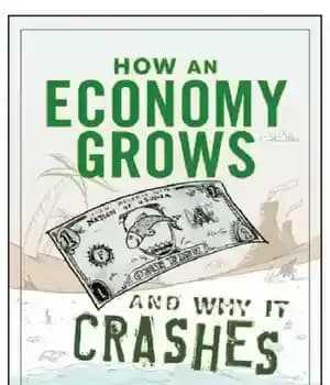 دانلود کتاب How an economy grows and why it crashes – چگونه یک اقتصاد رشد می کند و چرا سقوط می کند