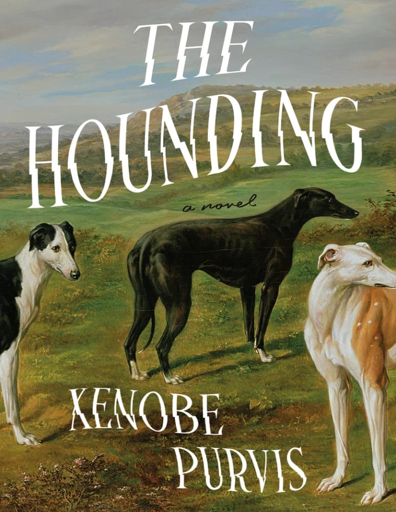 کتاب The Hounding (پیگرد) نسخه انگلیسی PDF | زنوب پرویس
