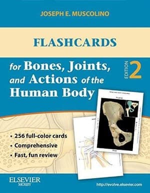 دانلود کتاب Flashcards for Bones, Joints, and Actions of the Human Body