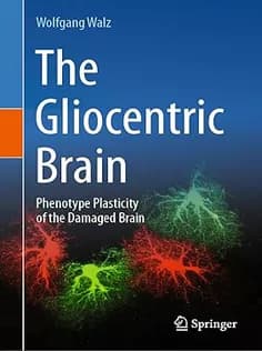 دانلود کتاب The Gliocentric Brain Phenotype Plasticity of the Damaged Brain — تصویر ۲