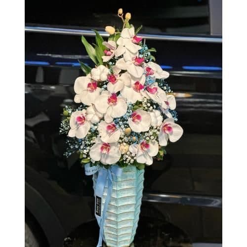 گل فروشی محدوده بانک سپه در تهرانپارس t4687