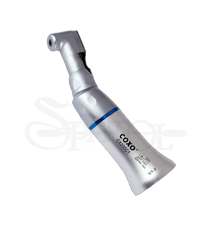 انگل ناخنکی کوکسو COXO