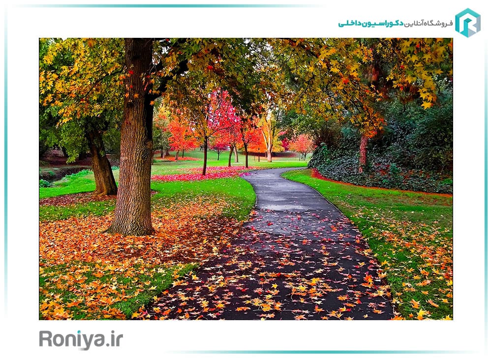 پوستر دیواری طبیعت سه بعدی برگ ریزان خیس کد NT-009