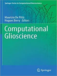 دانلود کتاب Computational Glioscience
