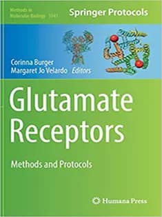 دانلود کتاب Glutamate Receptors: Methods and Protocols