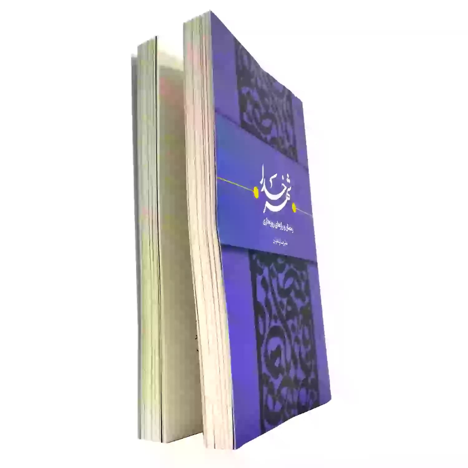 کتاب شهر خدا رمضان و رازهای روزه داری-استاد پناهیان نشر حکمت و بیان کد 104202 — تصویر ۲
