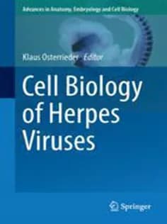 دانلود کتاب Cell Biology of Herpes Viruses