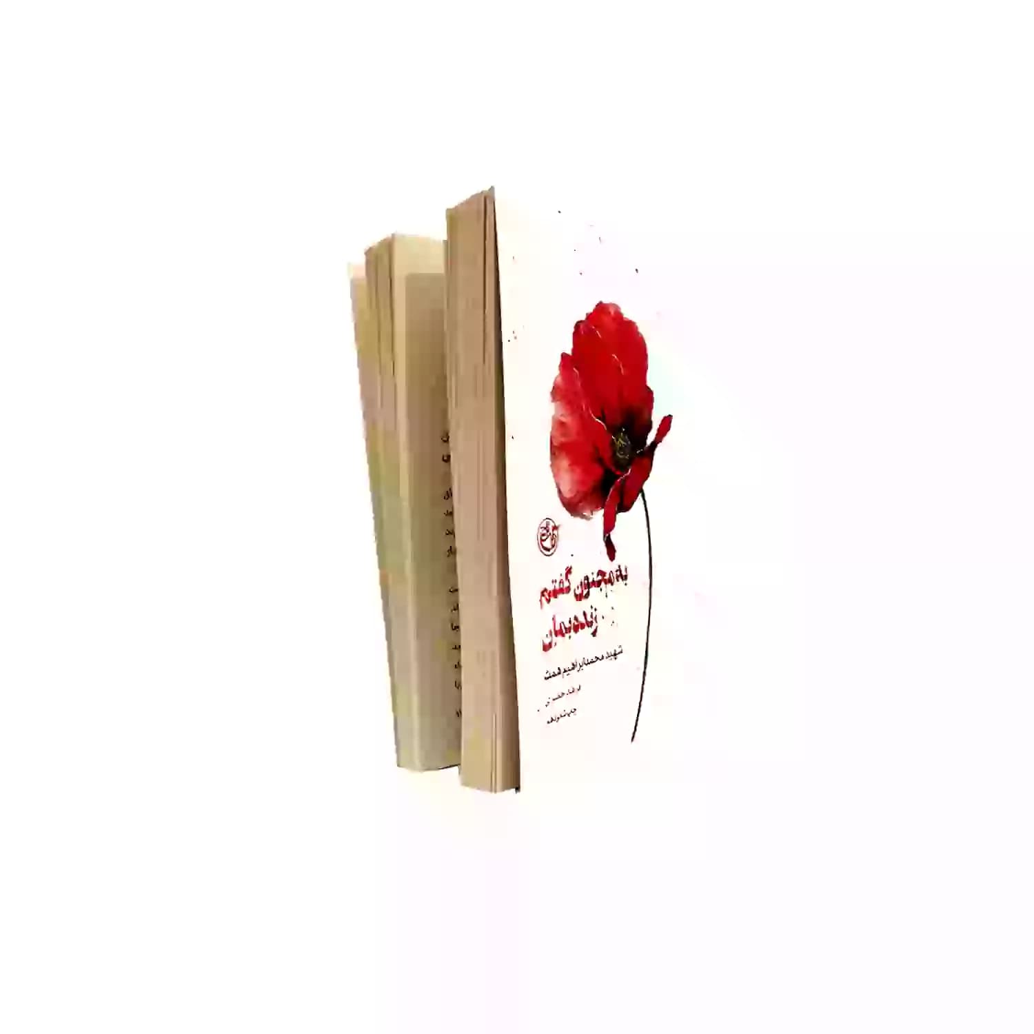 کتاب به مجنون گفتم زنده بمان شهید محمد ابراهیم همت-مجموعه کتاب از چشم ها3-روایت فتح کد 104078 — تصویر ۷
