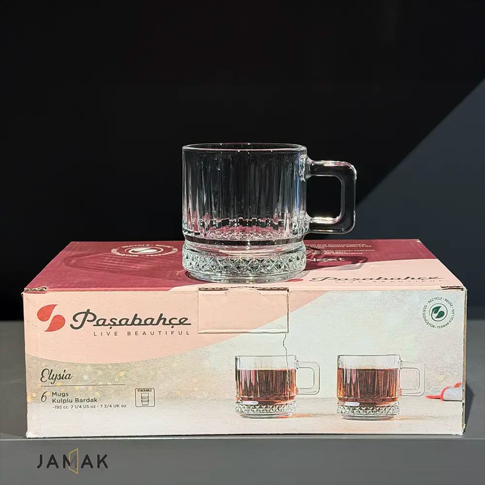 ماگ پاشاباغچه مدل الیسیا کد 55422 بسته 6 عددی