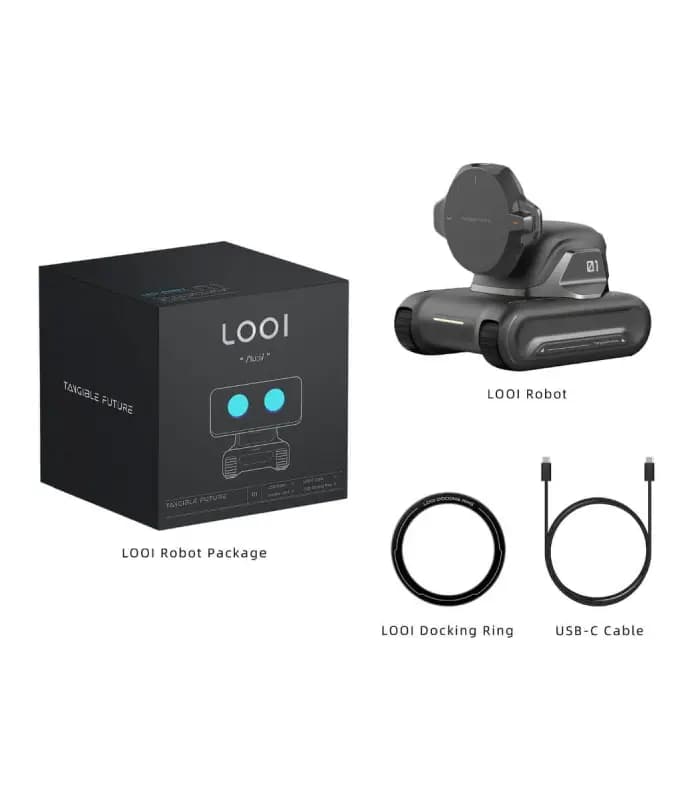ربات هوشمند LOOI، با قابلیت تعامل صوتی ChatGPT مدل Looi Robot — تصویر ۵