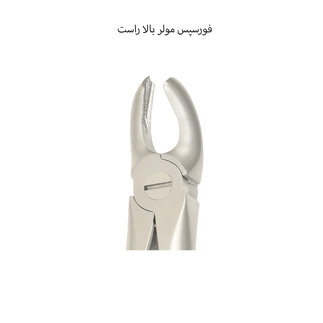 فورسپس مولر بالا راست دناپویا Dena Puya — تصویر ۲