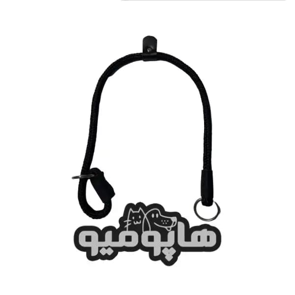 قلاده گردنی آموزشی بندی