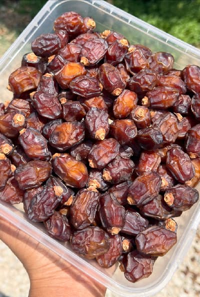 پک سوغات جنوب چلنو (خاصویی شیره‌دار و آجیلی، ارده و شیره) — تصویر ۲