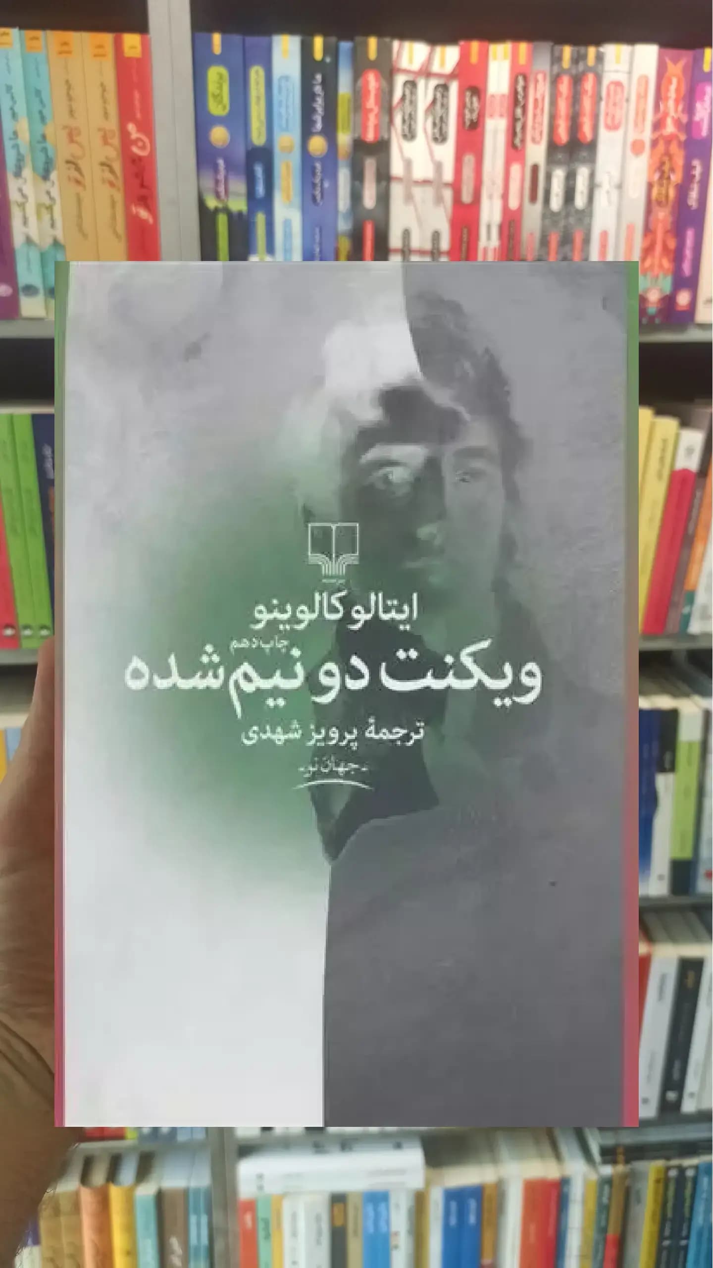 ویکنت دو نیم شده چشمه