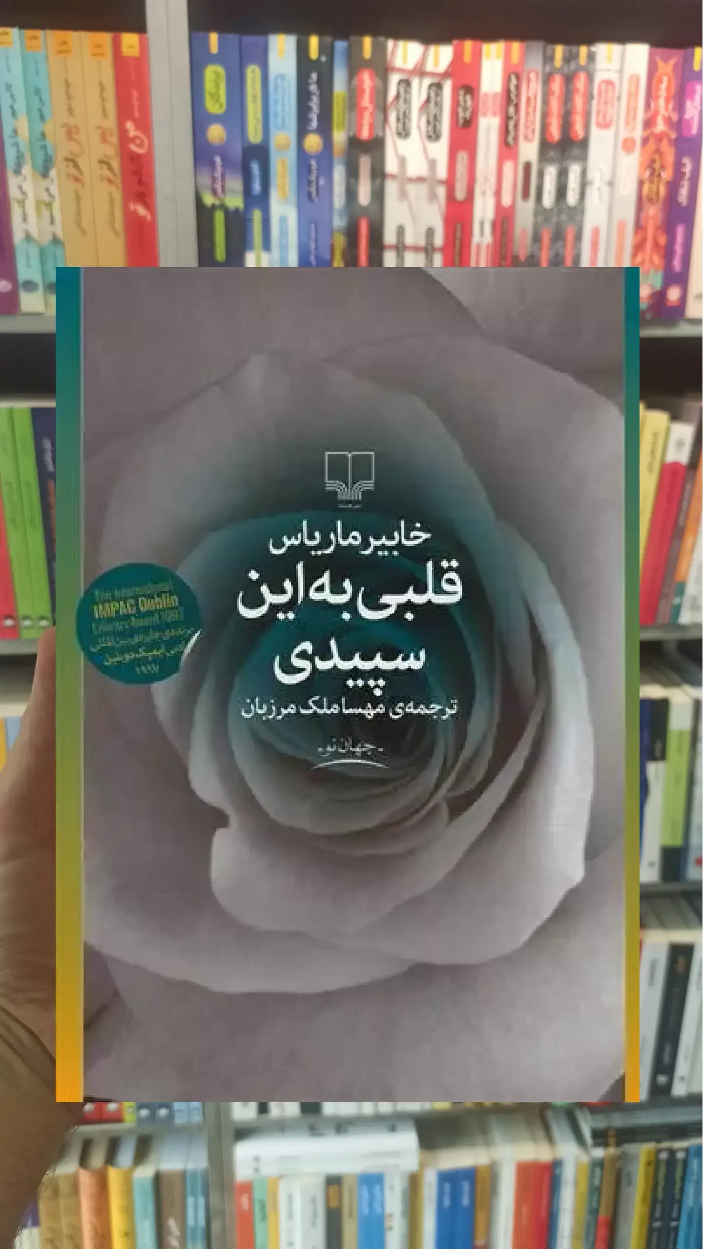 قلبی به این سپیدی چشمه
