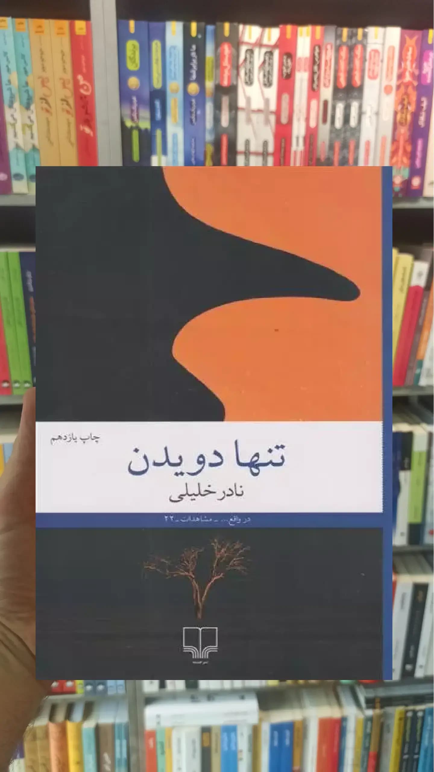 تنها دویدن چشمه