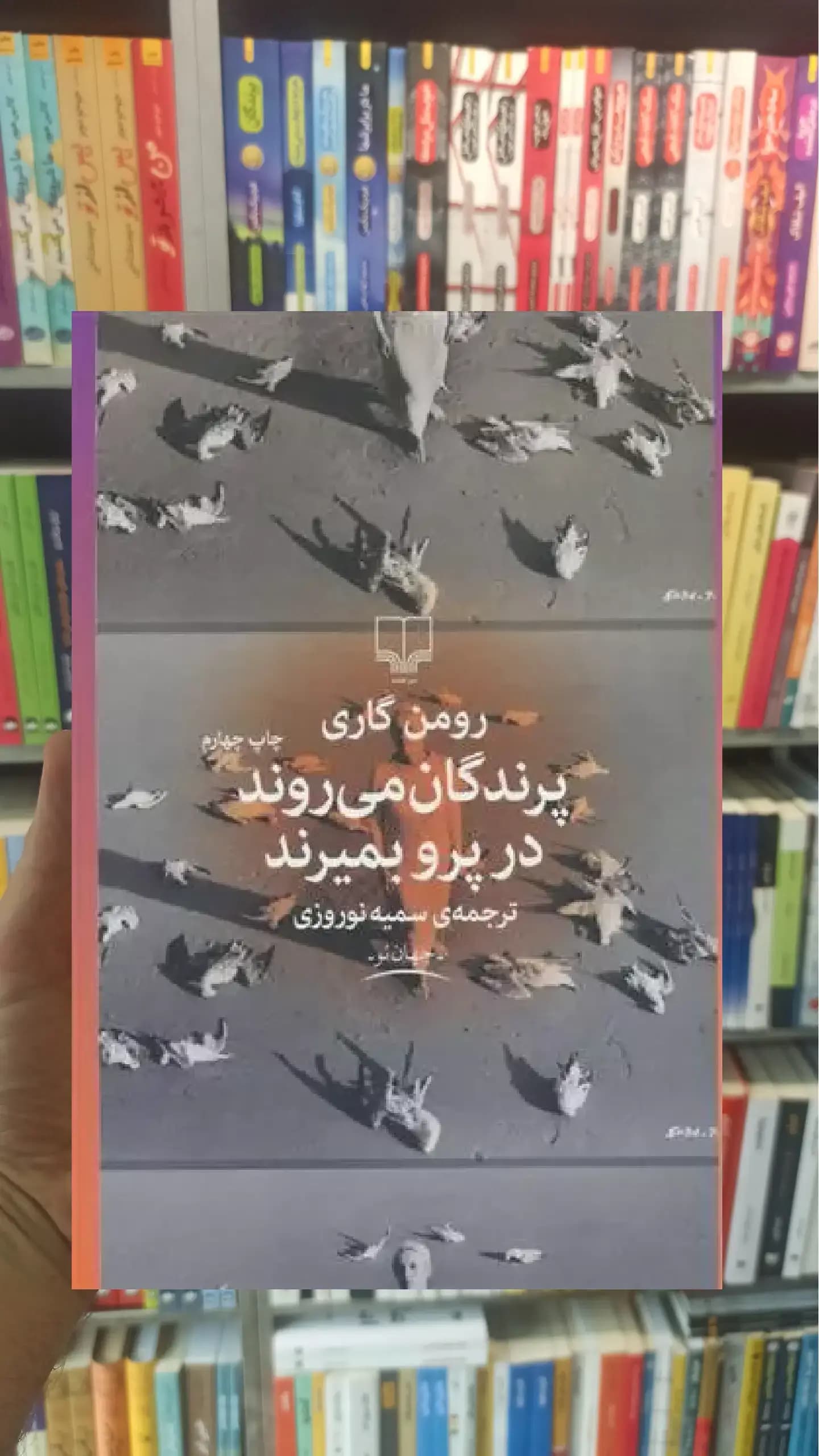 پرندگان می روند در پرو بمیرند چشمه
