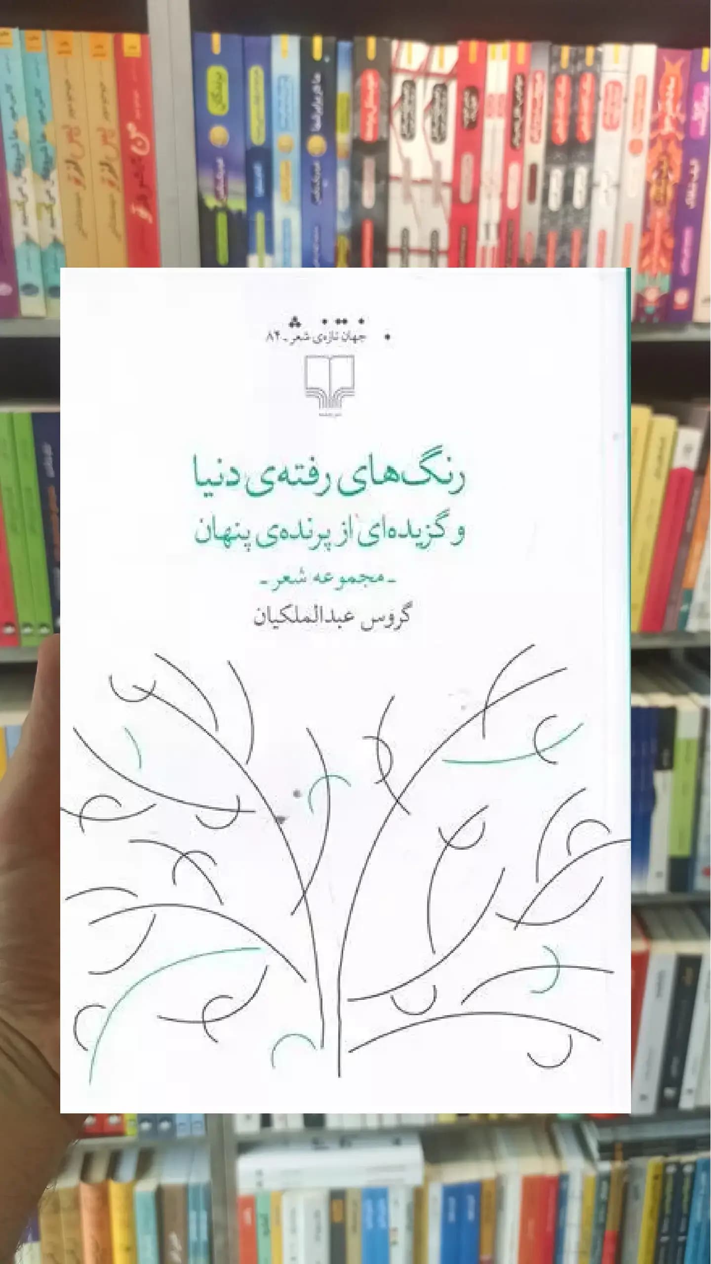 رنگ های رفته ی دنیا چشمه