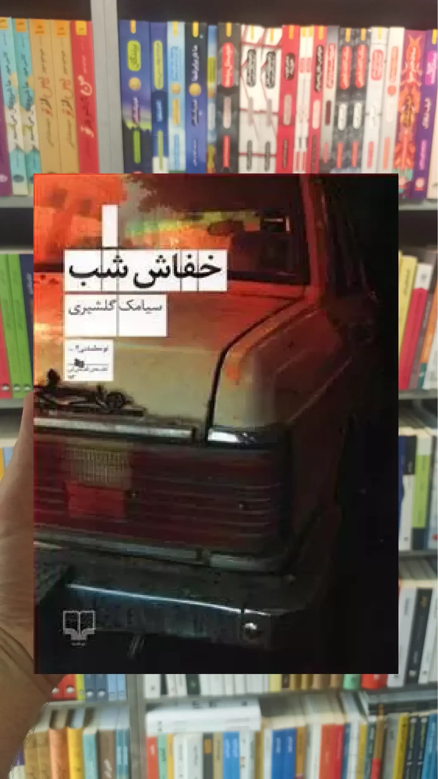 خفاش شب چشمه