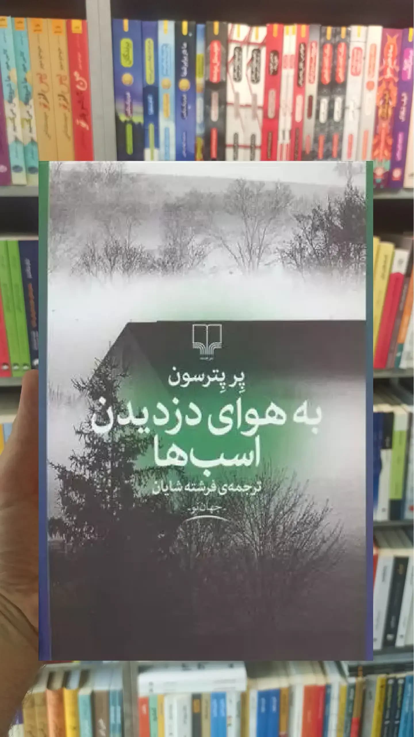 به هوای دزدیدن اسب ها چشمه