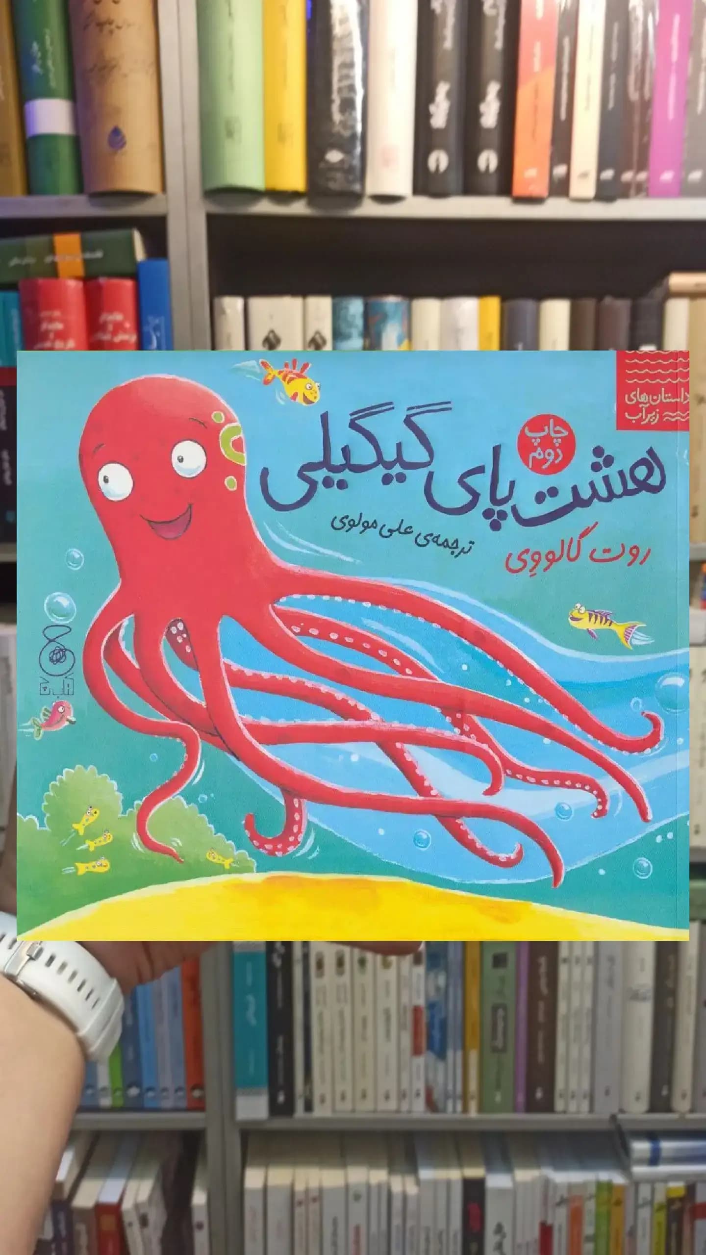 هشت پای گیگیلی چشمه