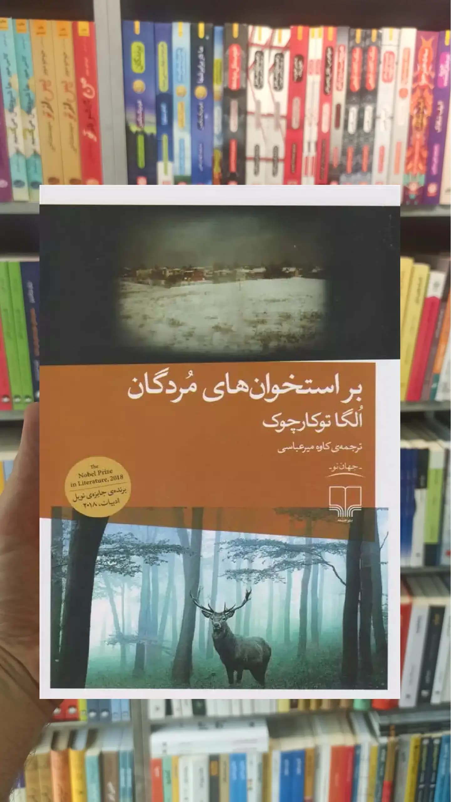 بر استخوان های مردگان چشمه