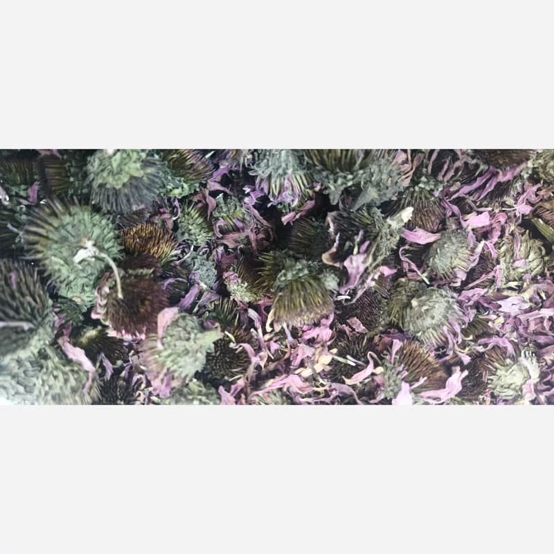 سرخارگل (اکیناسه) 25 گرم