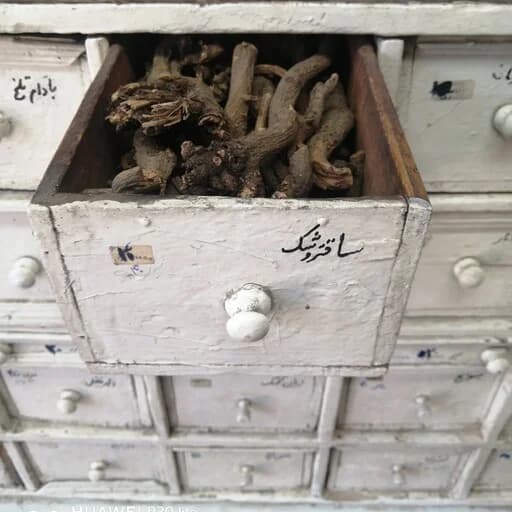 ریشه ساقتروشک 75 گرم — تصویر ۲