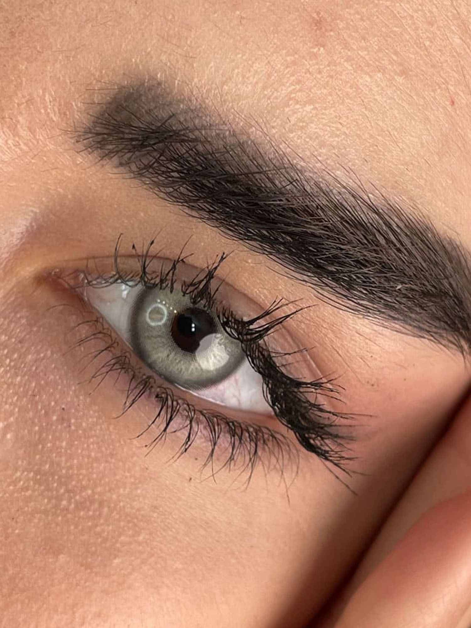 لنز طبی رنگی سالانه مارلی شاینی گری Marly shiny gray