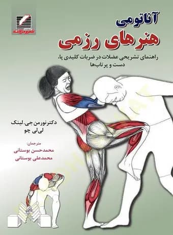 آناتومی هنرهای رزمی