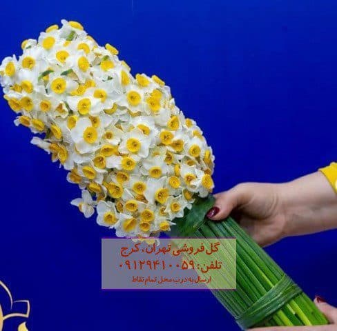 سبد گل نرگس لوکس در گلفروشی نوبنیاد