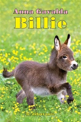 کتاب فرانسه Billie Anna Gavalda