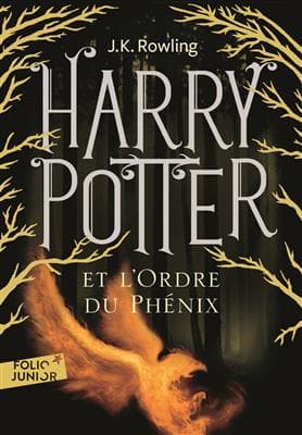 کتاب فرانسه Harry Potter – Tome 5 – Harry Potter et l’Ordre du Phenix