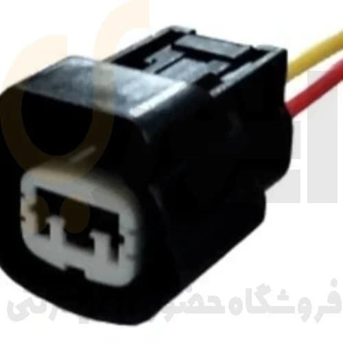 سوکت دو 2 فیش رونیز / پیکاپ / مزدا سوکت سما الکتریک