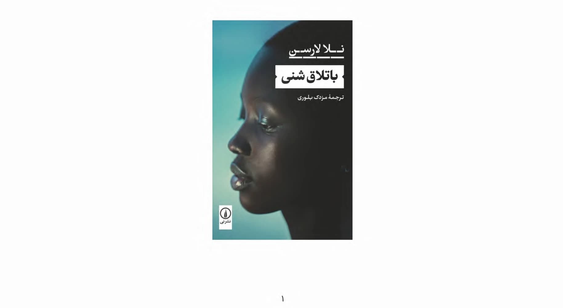 کتاب Sandy Swamp (باتلاق شنی) PDF | نلا لارسن