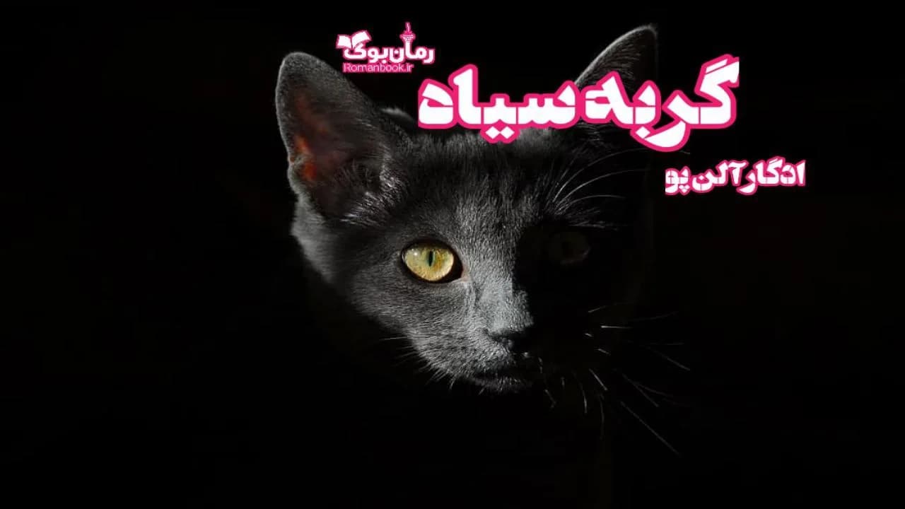 و دانلود نسخه کامل رمان گربه سیاه | رمان عاشقانه | رمان بزرگسال | رمان اجتماعی
