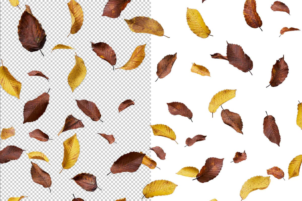 افکت افتادن برگ های پاییزی PNG — تصویر ۳