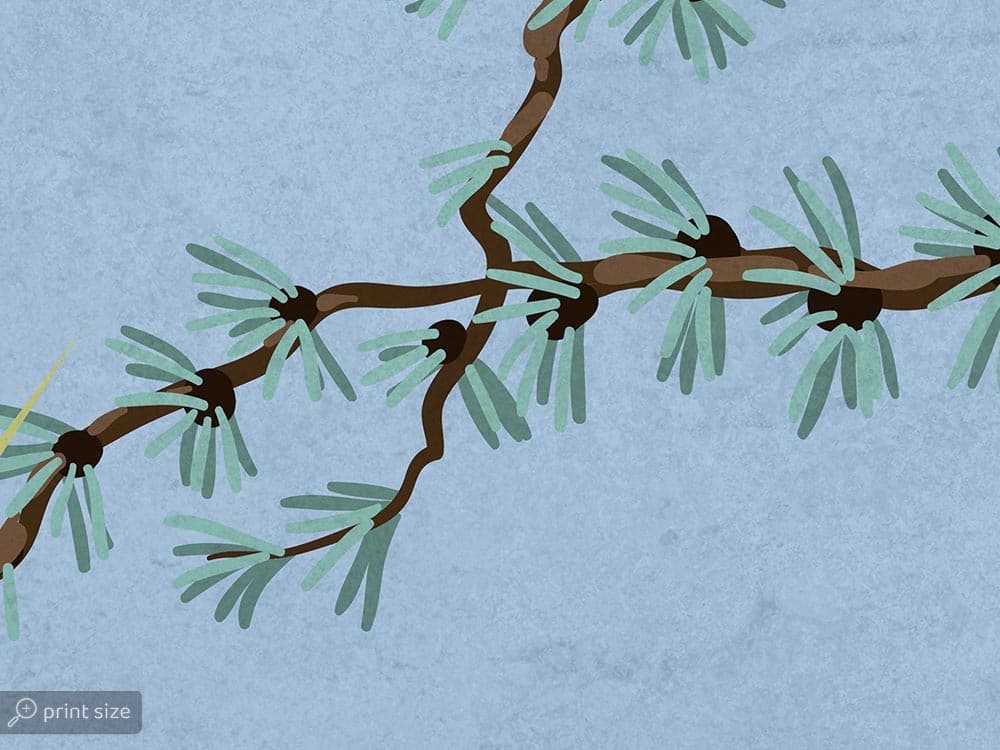 پوستر دیواری شاخه و پرنده W10250600 — تصویر ۴
